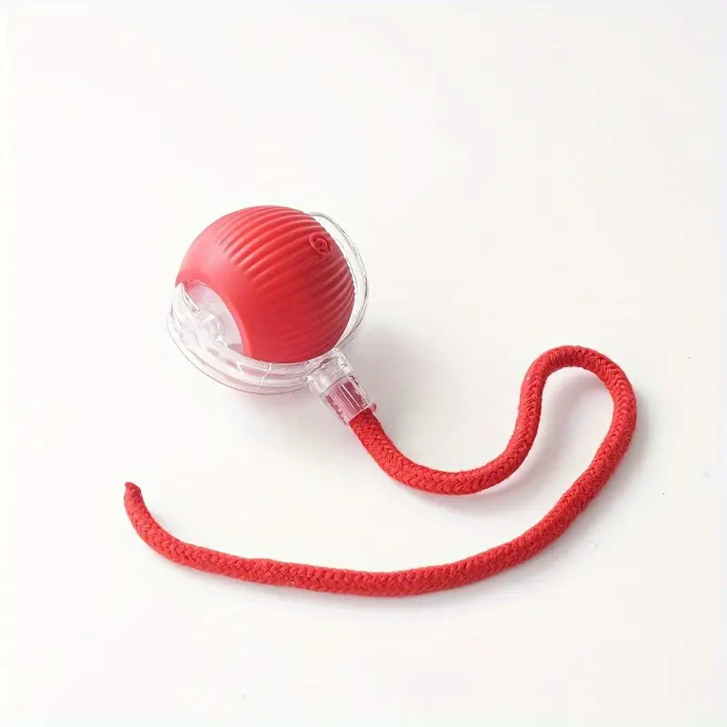 Bark & Buff™ Automatic Rolling Pet Ball